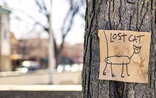 creatividad a través del design thinking