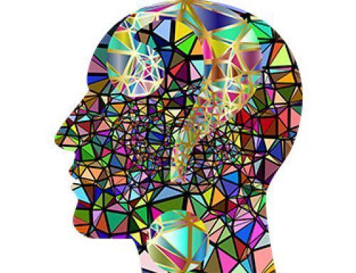 Vives en la percepción de una realidad
